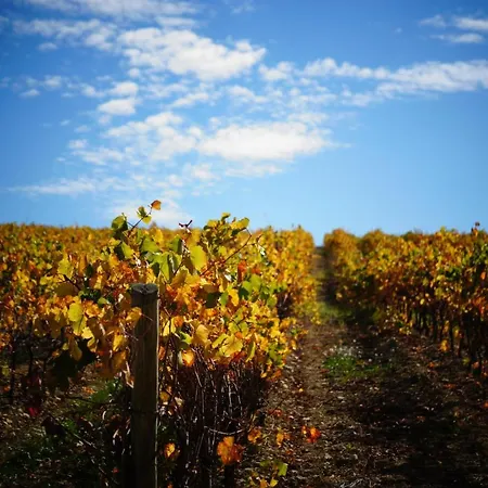 Charme Au Coeur Des Vignes Villa Malras Buitenkant foto