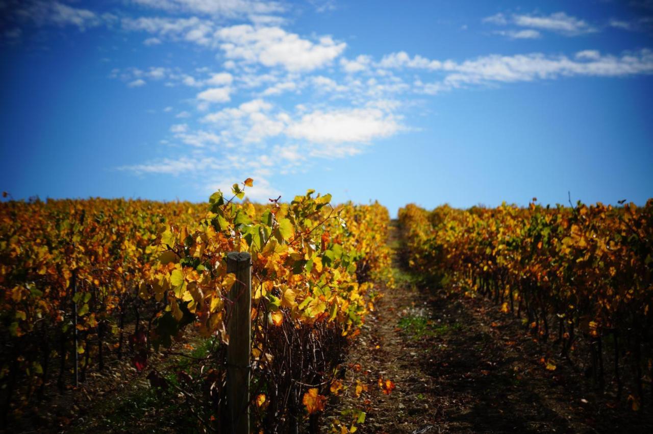 Ferienhaus Charme Au Coeur Des Vignes Malras